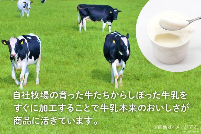 【牧場直送】 アイス 120ml ×5種 計5個 食べ比べ [岩瀬牧場 北海道 砂川市 12260519] ジェラート アイスクリーム スイーツ デザート スウィーツ おやつ