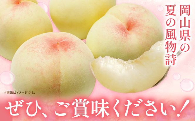 ご家庭用 おかやまの桃 約900g(大玉3玉) 令和6年産 先行予約  《7月上旬-8月下旬頃出荷(土日祝除く)》 桃 晴れの国おかやま館 フルーツ 果物 果実 岡山県 笠岡市---A-179b---