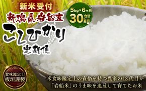 【新米受付・令和7年産米】【6ヶ月定期便】 食味鑑定士板垣謹製 新潟県岩船産 コシヒカリ 白米 5kg×6ケ月 1039025N