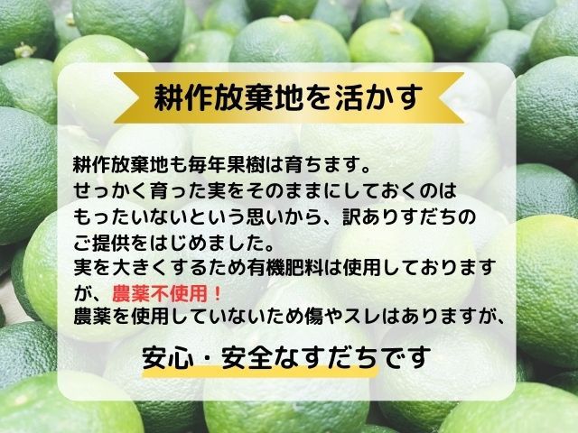 訳あり【Ｂ級】露地スダチ　500g　※9月中旬頃から発送　※離島不可