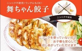 「宇都宮餃子館」舞ちゃん餃子 960ｇ（４８個）≪ギョーザ 冷凍餃子 冷凍食品 グルメ 食品 惣菜 中華惣菜 点心 中華≫◇