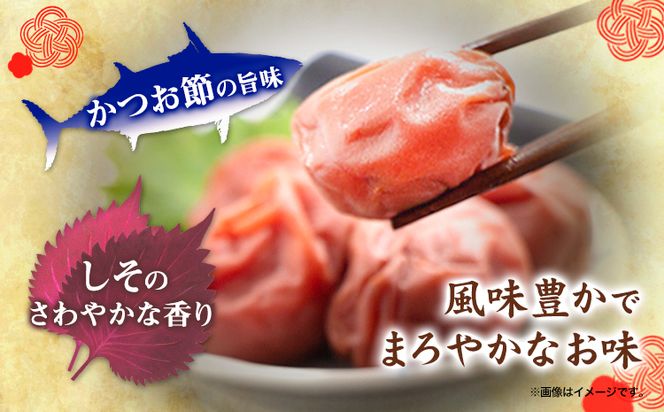 梅干し しそかつお梅干し 1kg 選べる 中玉 2L 大玉 3L 和歌山県産 株式会社とち亀物産 《30日以内に出荷予定(土日祝除く)》 和歌山県 日高町 梅 うめ しそ かつお 梅干し うめぼし 紀州南高梅 漬け物 漬物 ごはんのお供---wsh_ttk8_30d_23_15000_sk2l---