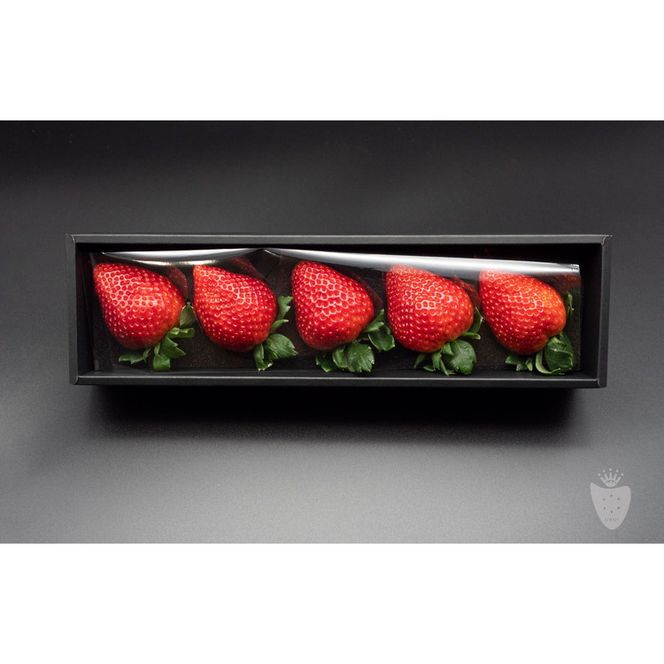 【先行予約】【数量限定】とちあいかDX ギフトBOX（5粒）｜いちご イチゴ 苺 ※2025年11月上旬頃より順次発送予定