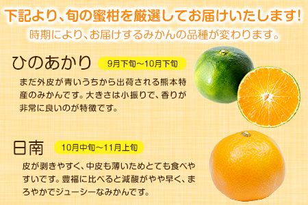 山本果樹園の旬のみかん 10kg 山本果樹園《９月中旬-2月末頃出荷予定》蜜柑 柑橘 ひのあかり 日南 豊福　肥後早生 青島 旬の品種をお届け！フルーツ 果物---sh_ymmtmkn_bc92_24_14500_10kg---