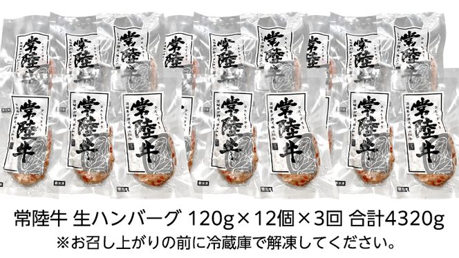 【茨城県共通返礼品】【３ヶ月定期便】 黒毛和牛 常陸牛 100% 特製 プレミアム 生ハンバーグ 120g×12個入り 合計1,440g 八千代町産 白菜 使用 無添加 無着色 保存料不使用 冷凍 牛 牛肉 ビーフ 生 ハンバーグ こだわり [AU055ya]