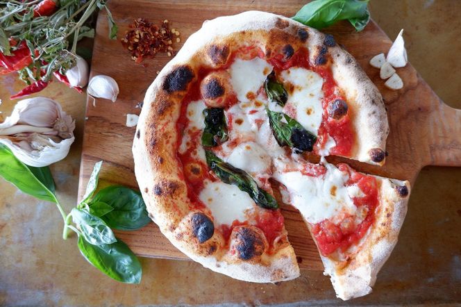 y{茧sz~Vsbc@El̖{ii|sU ߂R HZbgsⓀEEqĂt [H+Kitchen&Bakery {茧 s 452060807] sU sbc@ }Q[^