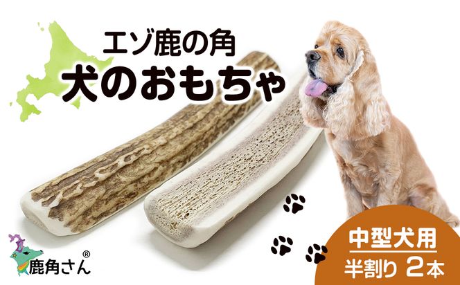 鹿の角2本、エゾ鹿の角　約63cm 鹿の角2本、エゾ鹿の角約63cm