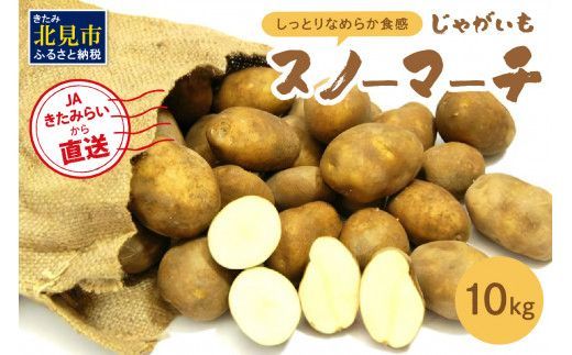 ykCkszy\F2025N10{珇zzCgV`[O^ɃIXXIJA݂炢璼VNႪuXm[}[`v10kg (  Ԍ kC )y104-0003-2025z