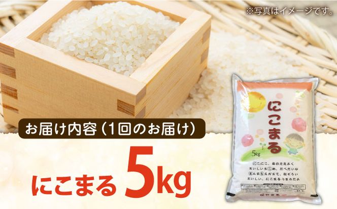 【3回定期便】 長崎県産 精米 にこまる 5kg 総計 15kg / 南島原市 / 大松屋商店 [SDR002] 