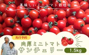 【先行予約】ミニトマト サンチェリー 1.5kg 2026年7月発送 トマト とまと プチトマト 新鮮 野菜 農家直送 1キロ おすすめ ギフト 贈答 プレゼント 10000円 1万円 福島県 田村市 田村 よしのや農園 N061-001