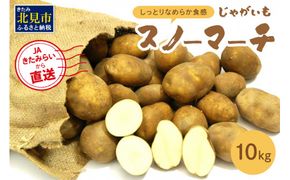 ホワイトシチューやグラタンにオススメ！JAきたみらいから直送する新鮮じゃがいも「スノーマーチ」10kg ( 野菜 期間限定 北海道 )【104-0003-2024】