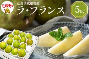 【令和6年産 先行予約】西洋梨ラフランス5kg　秀品　化粧箱入り 山形県 東根市 東根農産センター提供 hi027-141