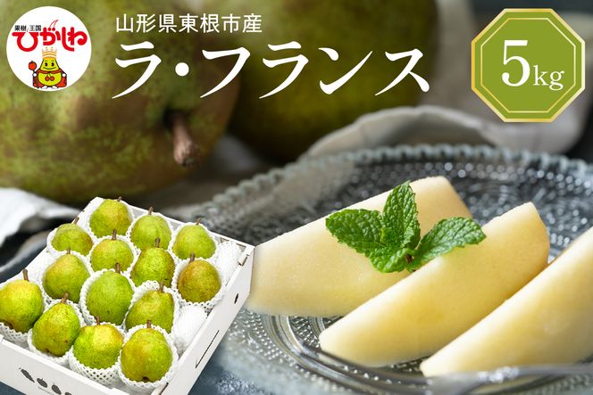 【2026年産】 西洋梨 ラフランス 5kg 秀品 化粧箱入り 山形県 東根市 東根農産センター提供 hi027-196-r8