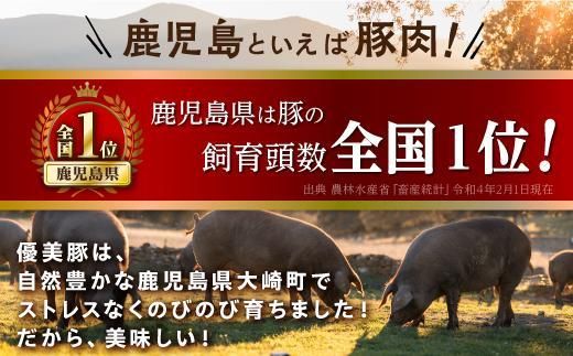 鹿児島県産黒豚　「優美豚」　贅沢セット（焼肉）【M637】