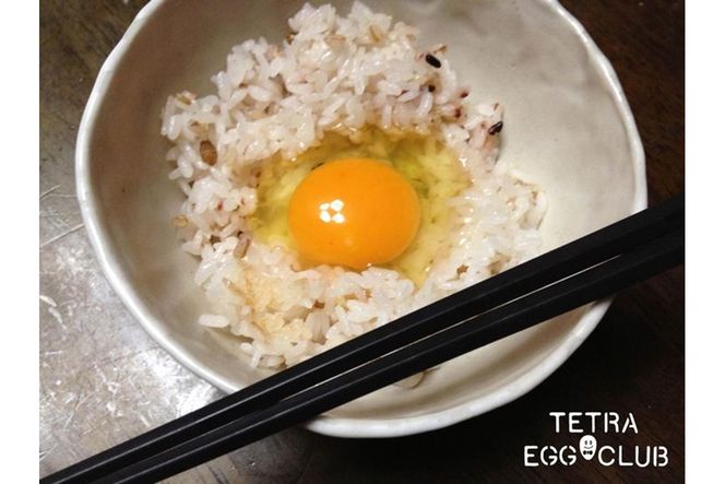 【E7-004】テトラエッグ特選卵『バボルナの宝石』（30個/月）【6カ月定期便】