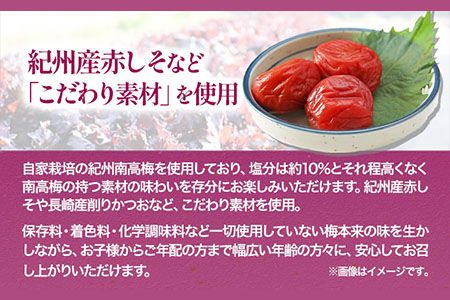 紀州南高梅使用 しそ仕込み完熟梅干し800g 厳選館 《90日以内に出荷予定(土日祝除く)》 和歌山県 日高川町 紀州南高梅 梅干し しそ仕込み---wshg_tmt183_90d_24_14000_1p---