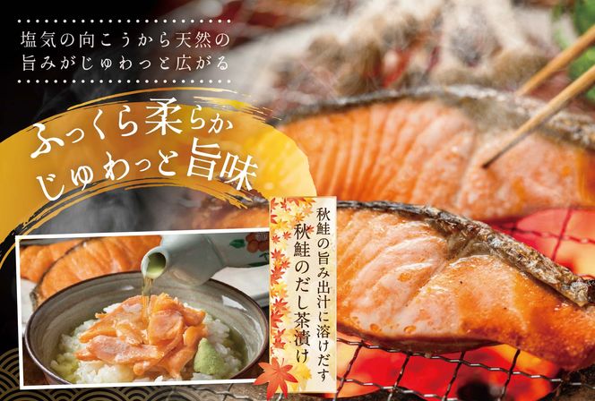 ★N30 こだわり熟成 秋鮭切身 30切（1切×30pc）【NK0002N15】