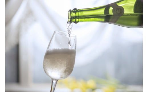 E075 【山口産りんご】UMIシードル－ドライ－（375ml×1本）やまぐちシードル