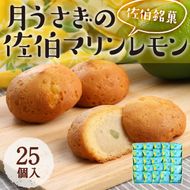 月うさぎの佐伯マリンレモン (計25個) レモン レモンケーキ スイーツ スウィーツ 菓子 焼き菓子 洋菓子 おやつ セット 個装 大分県 佐伯市【ER005】【(株)古川製菓】