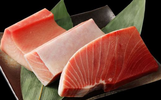 船元が直送! 厳選 天然 マグロ 3種 750g以上 | ミナミマグロ鮪250g メバチ鮪250g ビンチョウ鮪400g 南 目鉢 鬢長 セット まぐろ 食べ比べ みなみまぐろ めばちまぐろ びんちょうまぐろ ワケアリ わけあり 訳あり 刺身 さしみ 刺し身 冷凍 漬け 海鮮 丼 父の日 高知県 室戸市 ge002