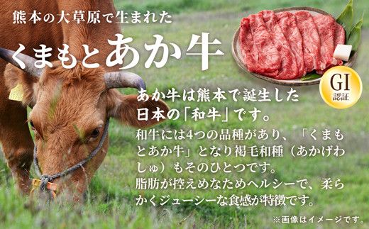 GI認証「くまもとあか牛・すき焼き用1000ｇ」あか牛 - 肉 お肉 牛肉 くまもとあか牛 あか牛 和牛 すき焼き スライス GI認証 冷凍 国産 九州産 熊本県産 熊本県 甲佐町