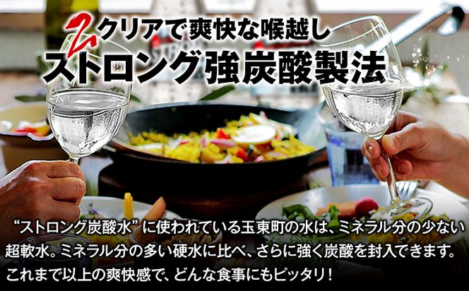 【3ヶ月定期便】強炭酸水6箱（計2回お届け 合計6ケース: 500ml×144本）《お申込み月の翌月から出荷開始》強炭酸水 熊本県玉東町産の水を使用! クリアで爽快な喉越し！くまもと風土の強炭酸水★ストロング炭酸水 ふるさと納税 熊本県 玉東町 炭酸水 水 強炭酸 送料無料 便利 ダイエットしたい方に スポーツ お酒割---fn_stgtei_24_37500_24l_mo3num1---