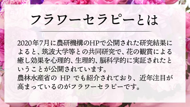 【 6ヶ月 定期便 】 癒し の フラワー セラピー アレンジメント Sサイズ お花 花 はな アレンジ リラックス リフレッシュ ストレス [CT121ci]