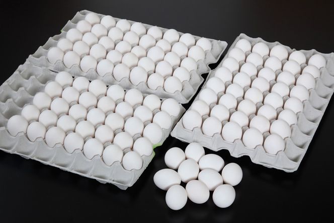 ７%の卵 120個　三代目卵三兄弟【毎月限定50セット】〇