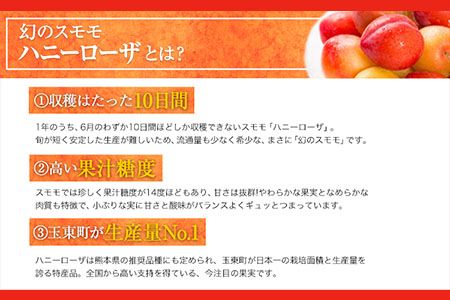 ハニーローザカップケーキセット 熊本県玉名郡玉東町 すもも ハニーローザ ぷらっとぎょくとう《30日以内に出荷予定(土日祝除く)》---sg_fhrocake_30d_24_14500_10p---