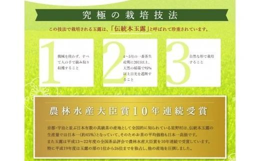 【A5-253】八女星野深蒸し茶100g 3本詰め