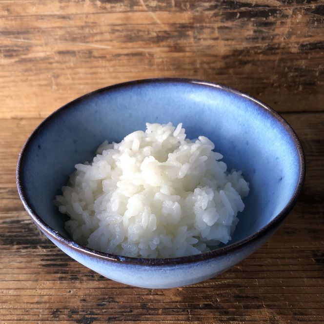 龍善ブルー ご飯茶碗  大サイズ