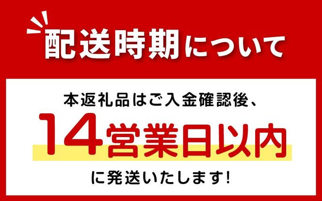 《14営業日以内に発送》たっぷり90食分！業務用北海道ほたてスープ 450g×1袋 ( スープ 加工品 粉末 簡単 )【125-0043】