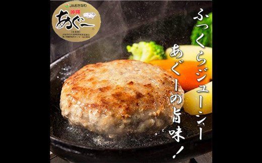 お肉屋本店　沖縄県産和牛・あぐー豚ハンバーグセット　800g（100g×8個）