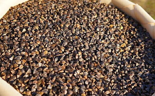 【オーガニック】上原農場 そば打ちセット（そば粉2kg 打ち粉500g）【30003】