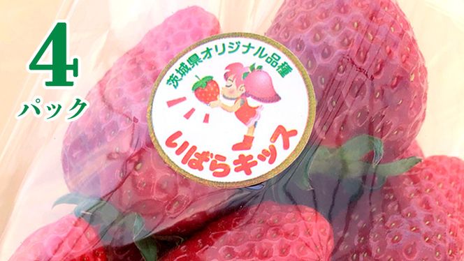茨城県産 いちご 「 いばらキッス 」 4パック イチゴ 苺 果物 フルーツ 新鮮 旬 果実 [AM135us]