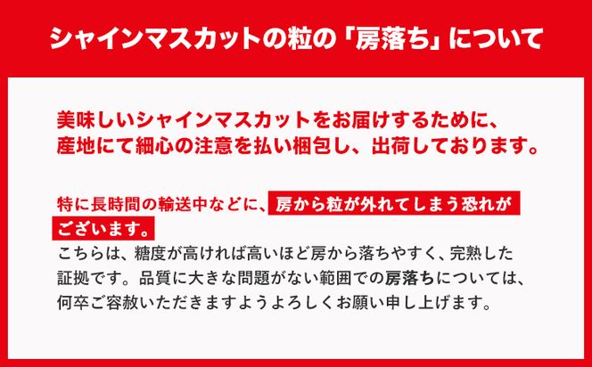 【先行予約】シャインマスカット 1房 (約650g) 訳あり《2024年9月中旬-11月上旬頃出荷》マスカット 送料無料 岡山県 浅口市 シャインマスカット ぶどう フルーツ 果物 贈り物 ギフト 国産 岡山県産---124_c636_9c11j_24_9500_1---