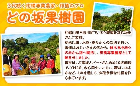 不知火 ( デコポン と同品種 ) しらぬい 約 5kg (L～5Lサイズ) どの坂果樹園《2027年2月中旬-5月上旬頃出荷》 和歌山県 日高川町 しらぬい 不知火 デコポン でこぽん 旬 果物 フルーツ 柑橘 産地直送 送料無料---wshg_245_g25_23_11000_5kg---｜しらぬい 不知火 デコポン でこぽん 旬 果物 フルーツ 柑橘 産地直送 デコポン デコポン デコポン デコポン デコポン 不知火 不知火 不知火 