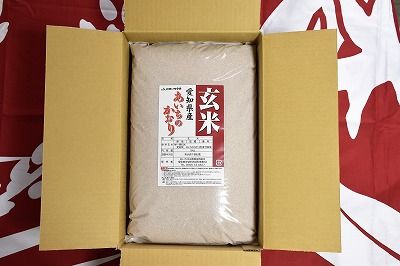 愛知県産 あいちのかおり玄米10kg H017-069