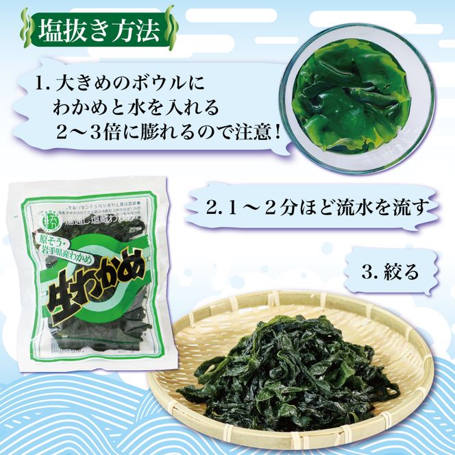 三陸わかめ 塩蔵わかめ 600g 100g×6袋 わかめ ワカメ 海藻 小分け わかめしゃぶしゃぶ 酢の物 1万円 10000円 [56500357_1]