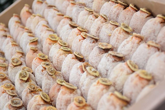 【2026年1月お届け】 御菓子所 川上屋 柿の美きんとん 10個入り F4N-1901