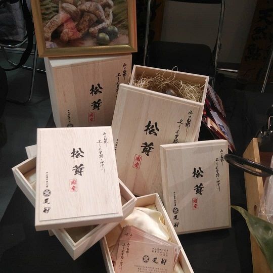 【数量限定】 天然松茸 125g 松茸ご飯、焼き松茸、土瓶蒸しなど 桐箱入 F4N-1492