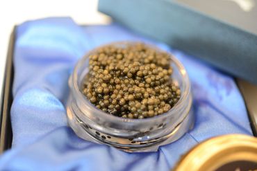 中津川キャビア S Caviar 50-002