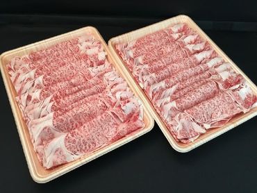 飛騨牛すき焼き用（肩ロース肉）250g×2パック 20-030