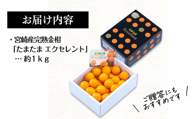 《2025年発送先行予約》【期間・数量限定】完熟金柑たまたまエクセレント 約1kg_M184-015