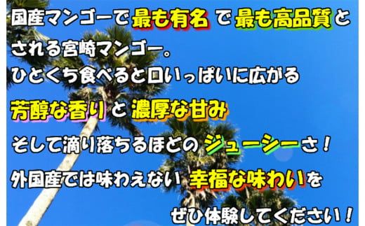 【2025年発送先行予約】《期間・数量限定》完熟！宮崎マンゴー 特秀 大玉3Lサイズ 2玉化粧箱入り_M183-002_01