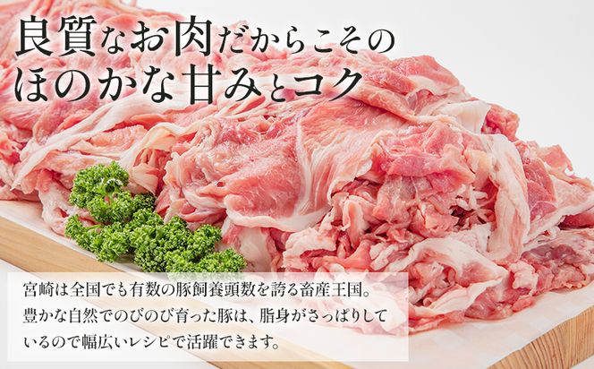 宮崎県産豚肉切り落とし 250g×12 合計3kg_M144-003