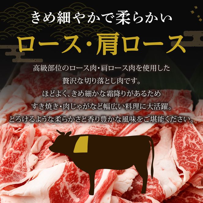 黒毛和牛  (博多和牛)  ロース・肩ロース切り落とし600g（300g×2パック）【伊豆丸商店】_HA0194