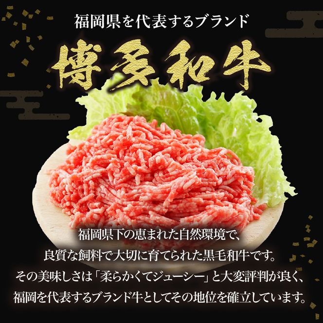 黒毛和牛 (博多和牛) 100%ハンバーグ130g×8個(ジャポネソース付)【伊豆丸商店】_HA0205