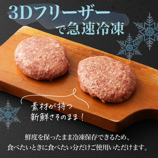 黒毛和牛 (博多和牛) 100%ハンバーグ130g×8個(ジャポネソース付)【伊豆丸商店】_HA0205