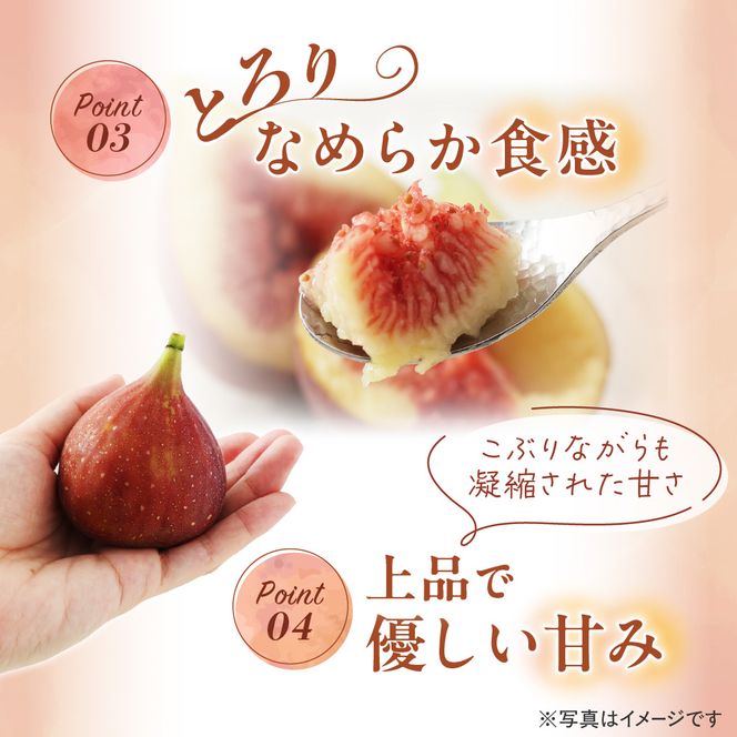 急速冷凍！福岡県特産品プレミアムいちじく「とよみつひめ」冷凍いちじく 大容量2kg【JAほたるの里】_HA0279